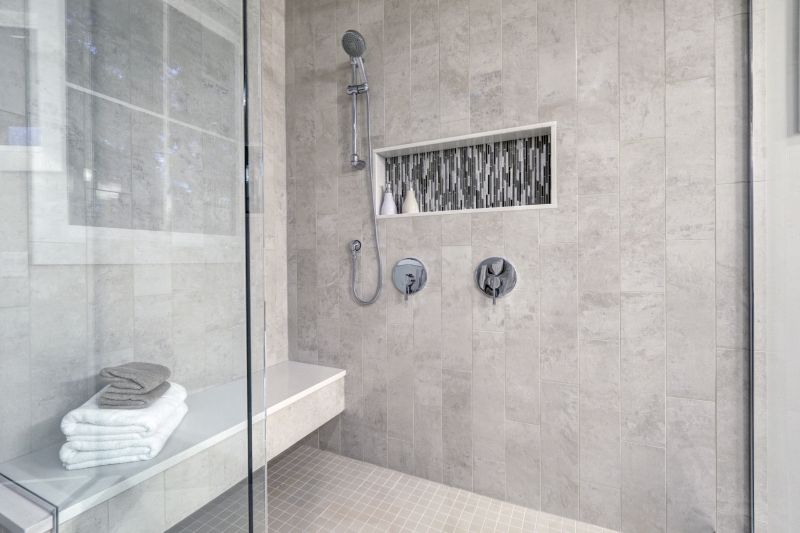 Shower Niche and Shelves